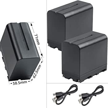 BESTON NP F970-Micro USB Battery for Sony