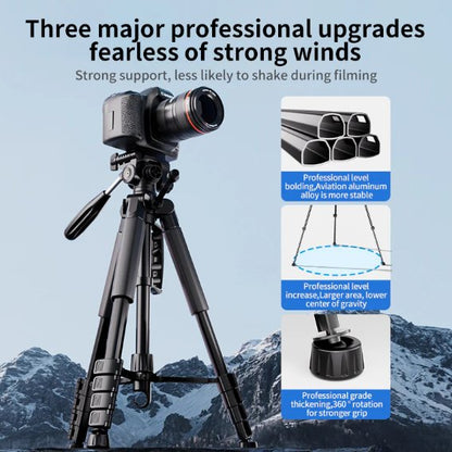 FX Studio T188 Professional Tripod – 188cm Heavy-Duty 5-Section Stand
