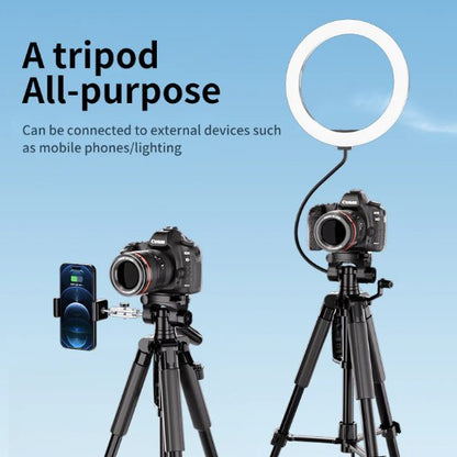 FX Studio T188 Professional Tripod – 188cm Heavy-Duty 5-Section Stand
