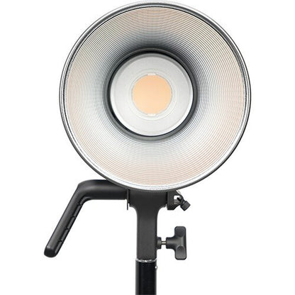 amaran 300c RGB LED Monolight (Gray)