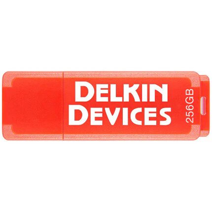 Delkin Devices 256 GB Tiny USB Flash Drive
