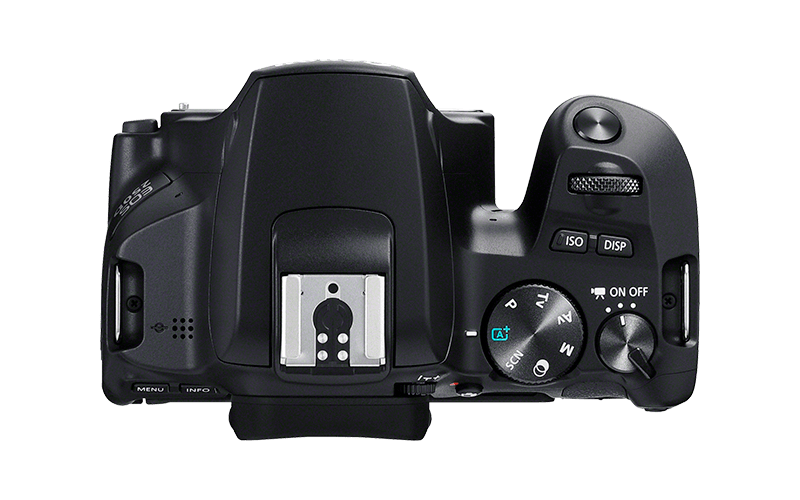 Canon EOS 250D with EF-S 18-55mm IS STM Kit