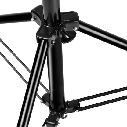FxStudio LS260 Light stand ( 2.6M - Max load 8Kg )