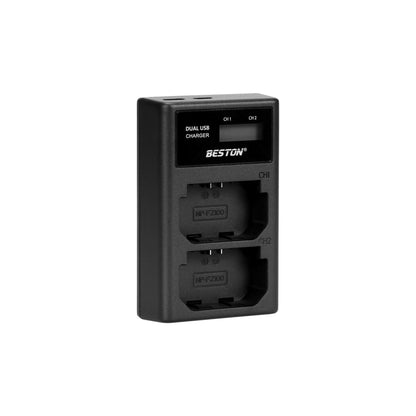 BESTON FZ100 LCD Dual USB Charger