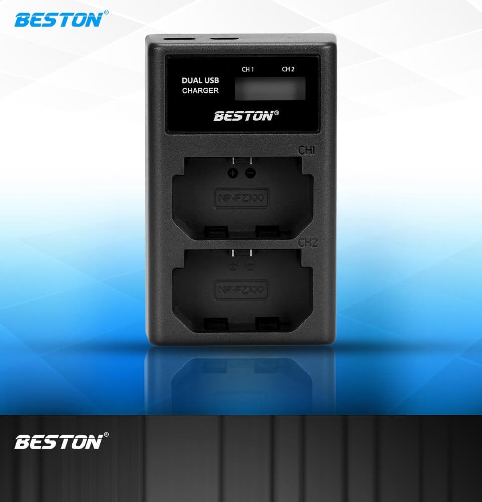 BESTON FZ100 LCD Dual USB Charger