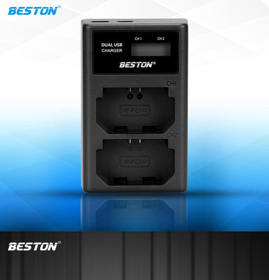 BESTON FZ100 LCD Dual USB Charger