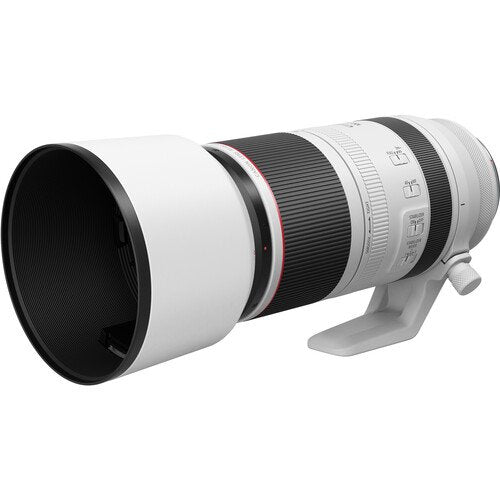 Canon RF100-500mm F4.5-7.1 L IS USM