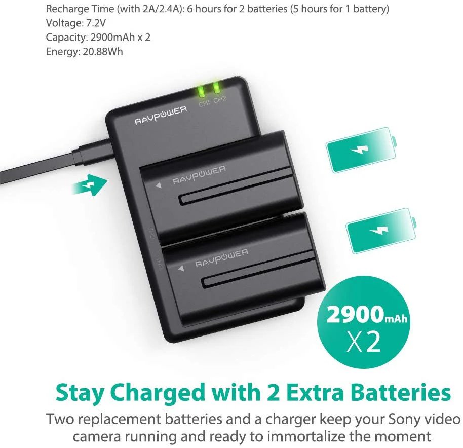 RavPower RP-BC006 NP-F550 Battery Charger For Sony